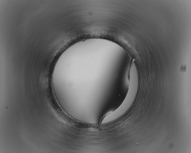 X0000091990496200709271450