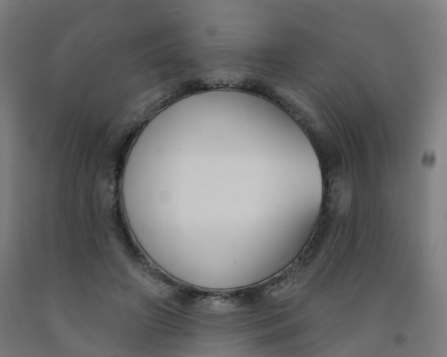 X0000091990498200709271450