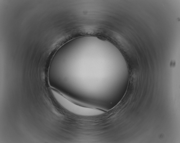 X0000091990500200709271450