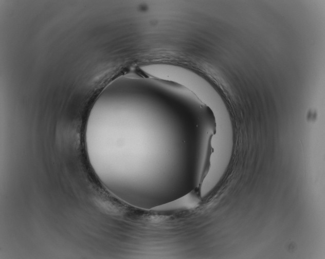 X0000091990501200709271450