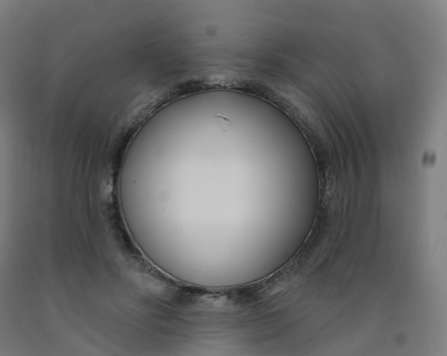 X0000091990502200709271450