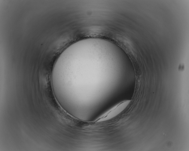 X0000091990503200709271450