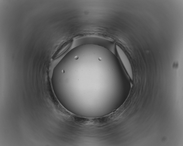 X0000091990504200709271450