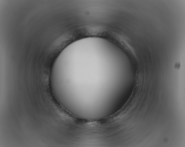 X0000091990505200709271450