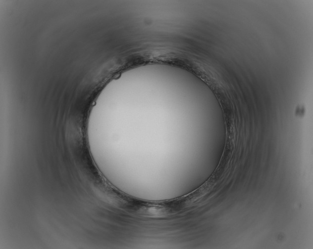 X0000091990506200709271450