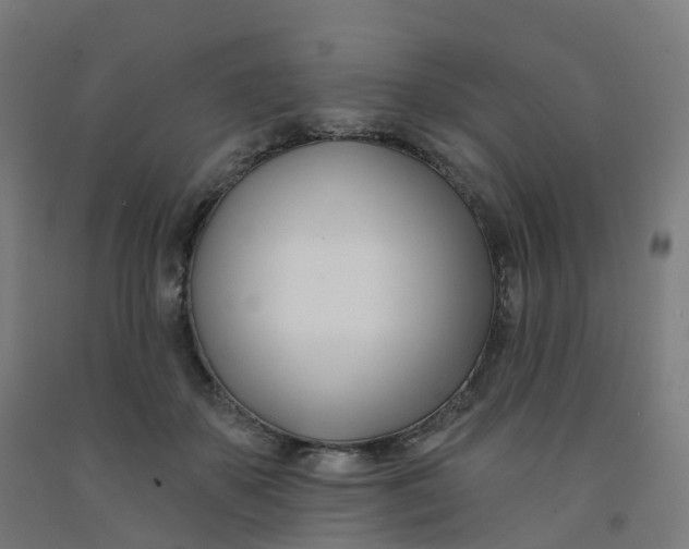 X0000091990507200709271450