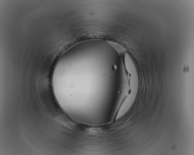 X0000091990508200709271450