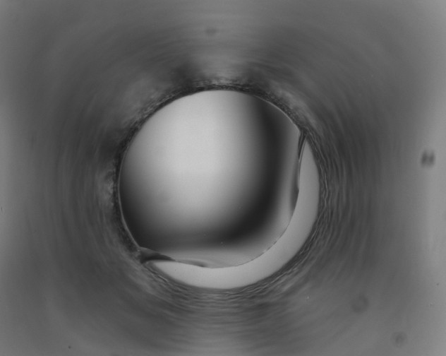 X0000091990509200709271450