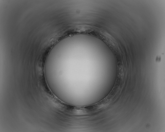 X0000091990510200709271450