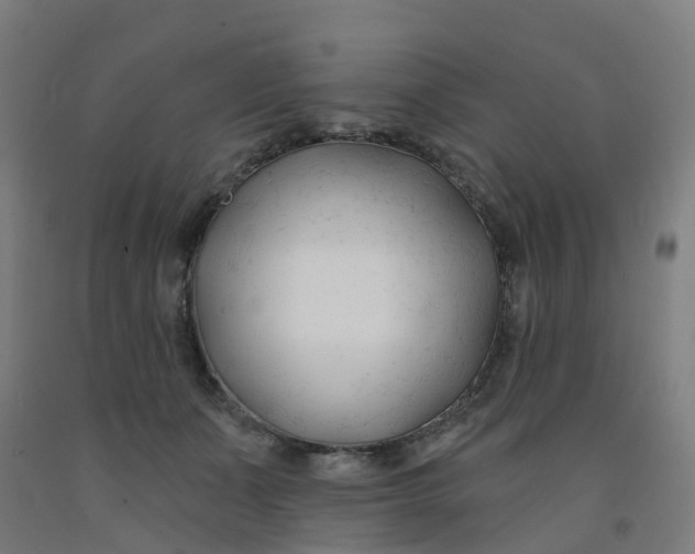 X0000091990511200709271450