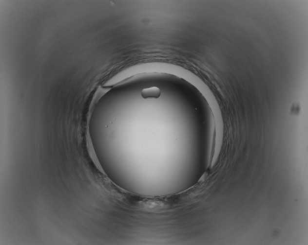 X0000091990512200709271450