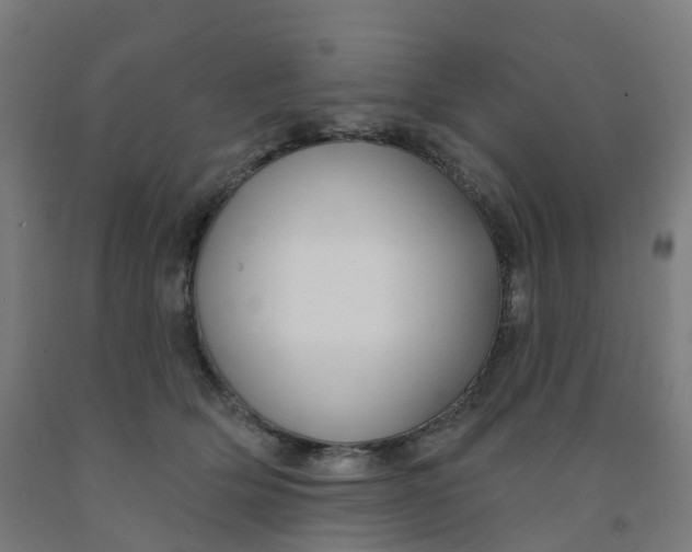 X0000091990514200709271450