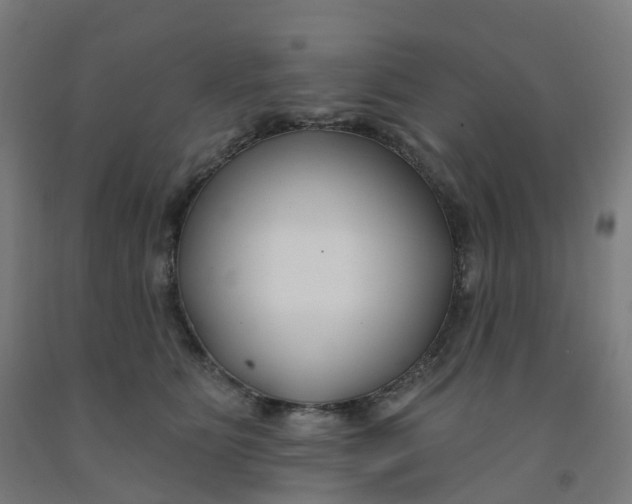 X0000091990515200709271450