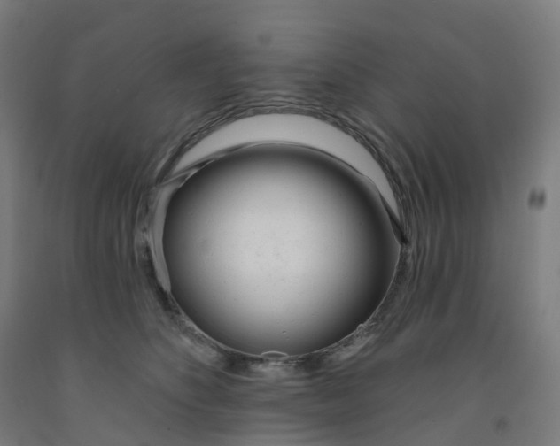 X0000091990516200709271450