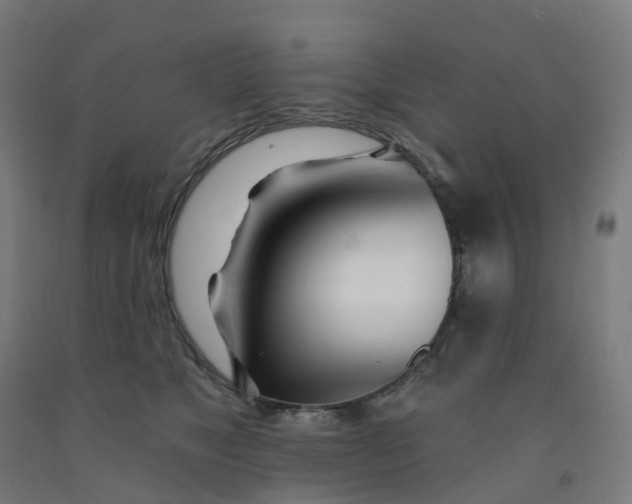 X0000091990517200709271450