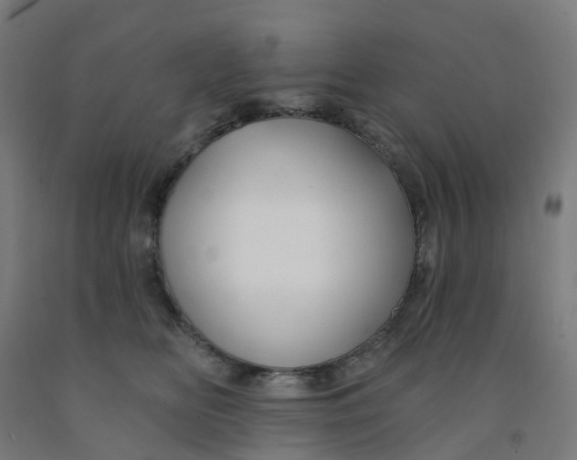 X0000091990518200709271450