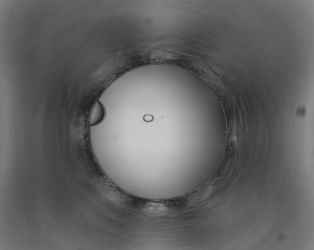 X0000091990519200709271450