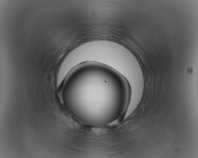 X0000091990520200709271450