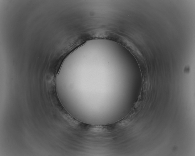 X0000091990521200709271450