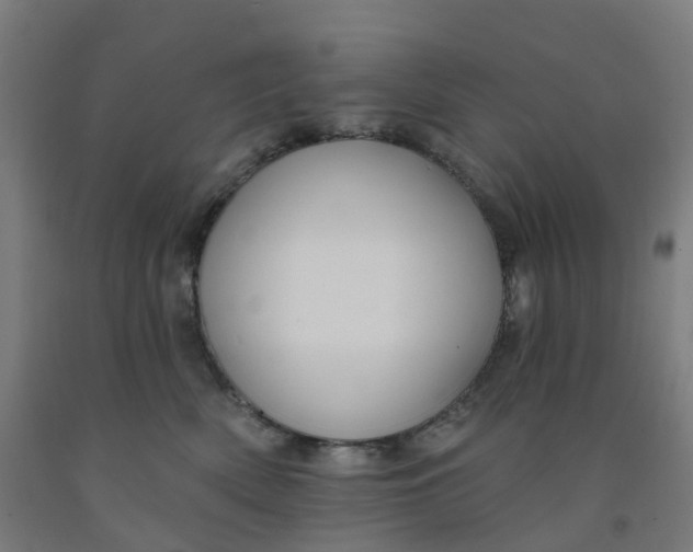 X0000091990522200709271450