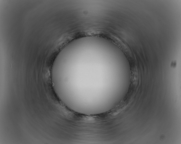 X0000091990523200709271450