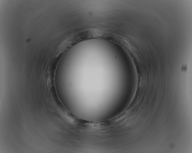 X0000091990524200709271450