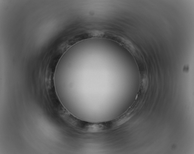 X0000091990525200709271450