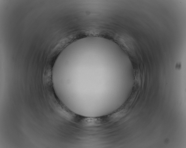 X0000091990526200709271450