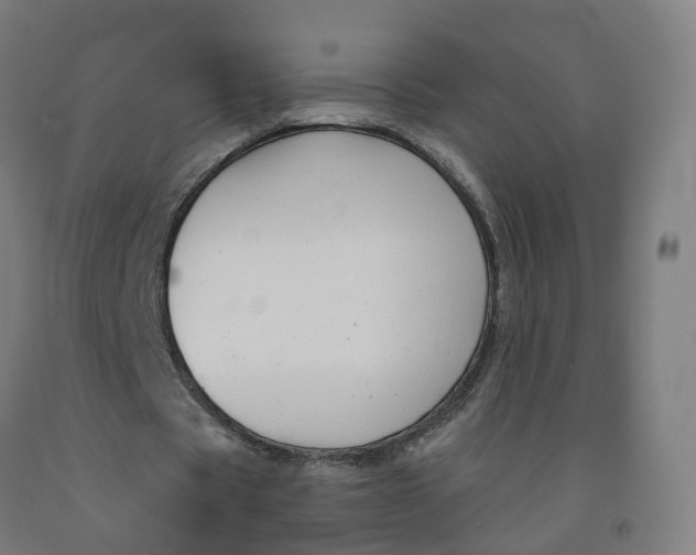 X0000091990529200709271449