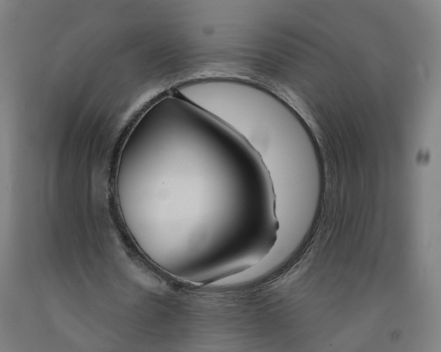 X0000091990530200709271449