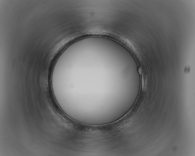 X0000091990531200709271449