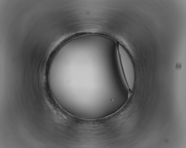 X0000091990532200709271449