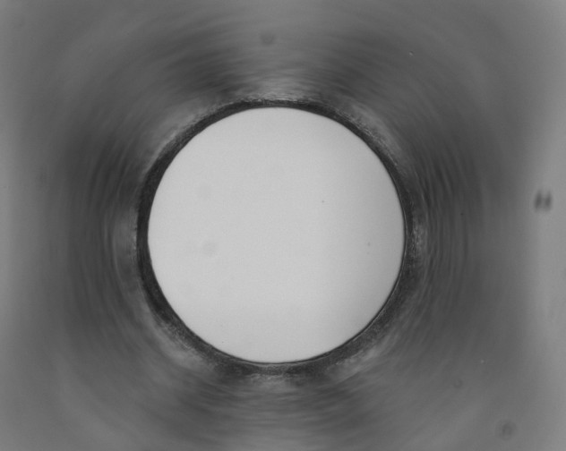 X0000091990534200709271449