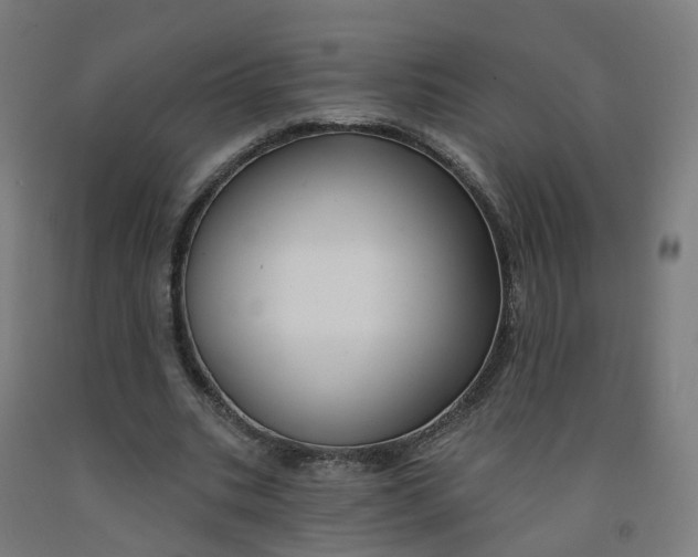 X0000091990535200709271449