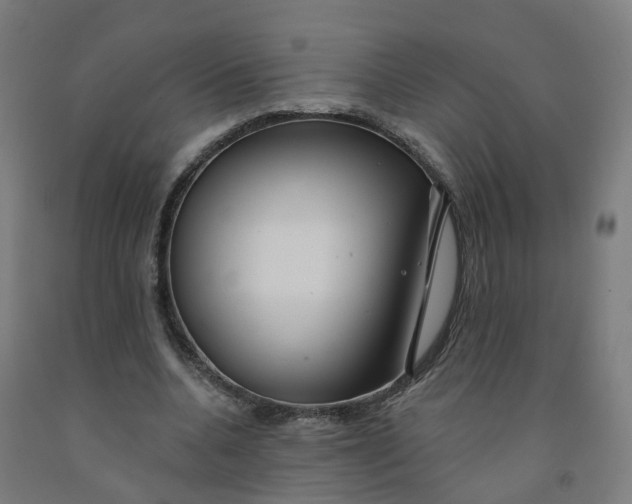 X0000091990536200709271449