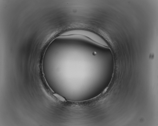 X0000091990538200709271449