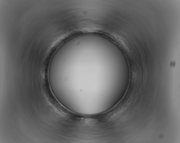 X0000091990539200709271449