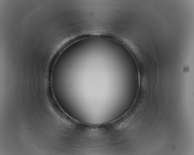 X0000091990540200709271449