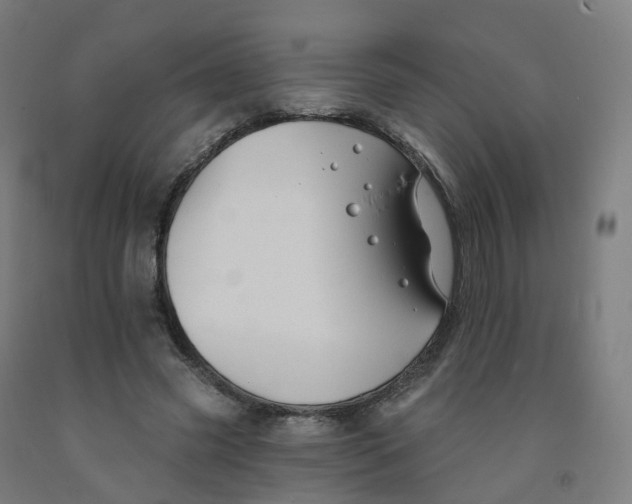 X0000091990541200709271449