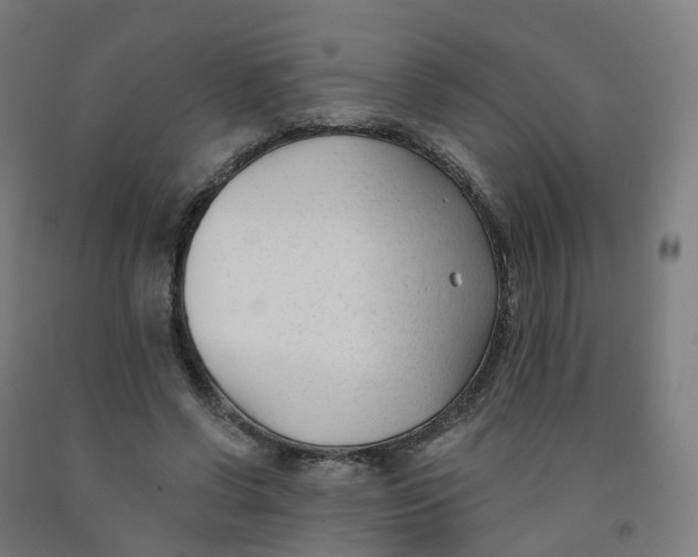 X0000091990542200709271449