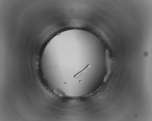 X0000091990544200709271449