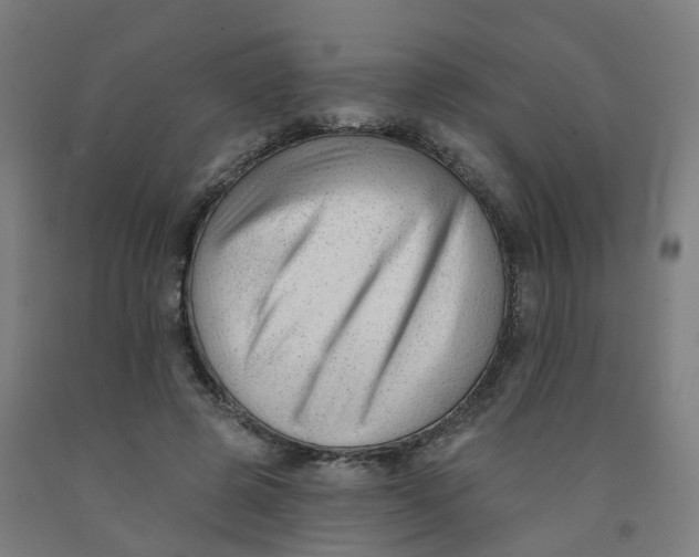 X0000091990545200709271449