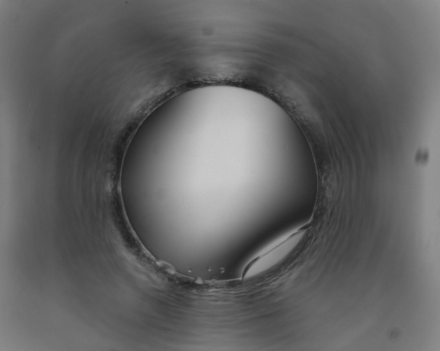 X0000091990546200709271449