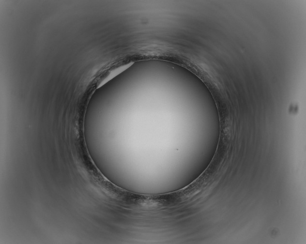 X0000091990547200709271449