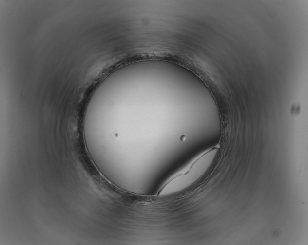 X0000091990548200709271449