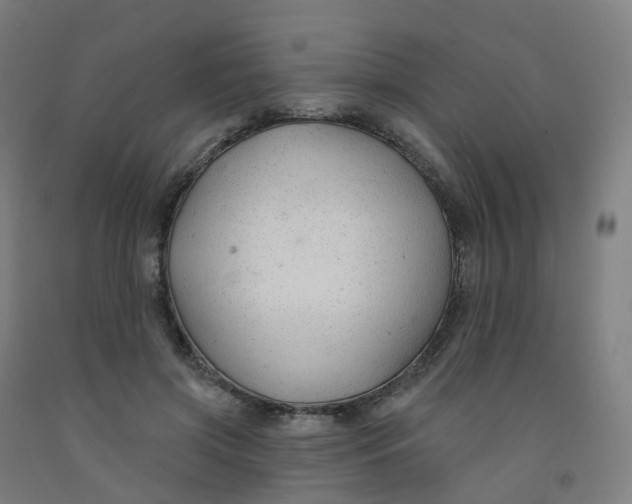 X0000091990549200709271449