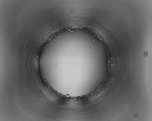 X0000091990550200709271449