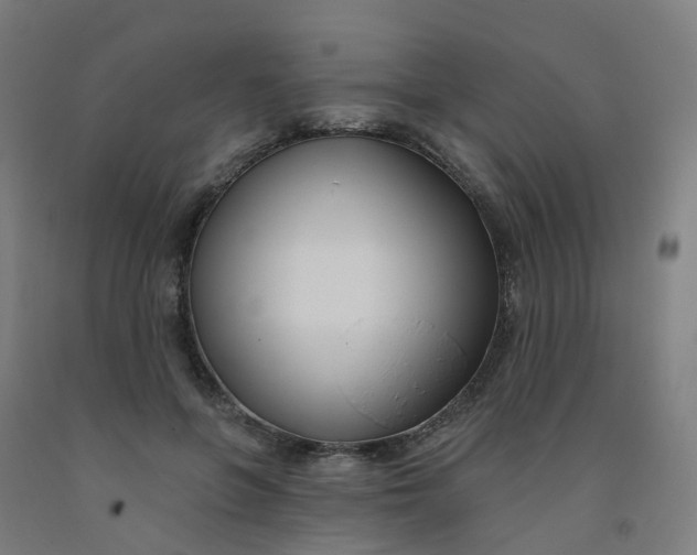 X0000091990551200709271449