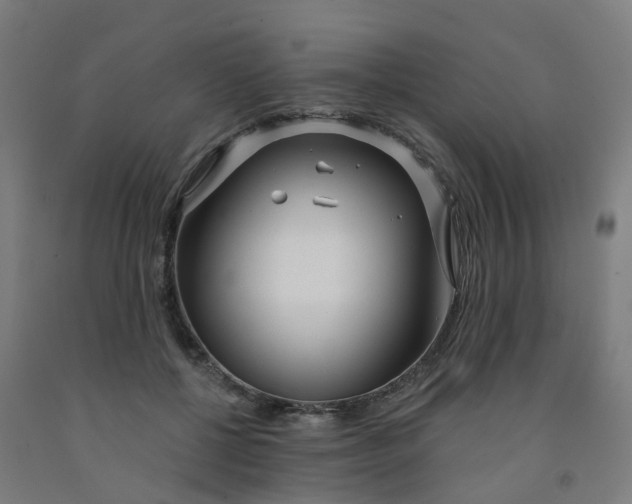 X0000091990552200709271449