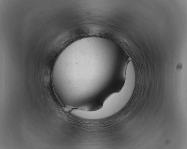 X0000091990554200709271450